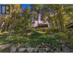 202 Edwina Drive, Trent Lakes, ON K0M1A0 Photo 49