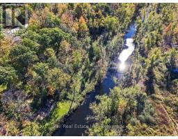 202 Edwina Drive, Trent Lakes, ON K0M1A0 Photo 46