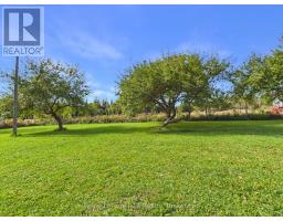320047 170 Road, Grey Highlands, ON N0C1K0 Photo 30
