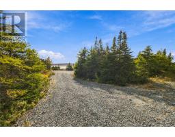 X Horsechops Road, Cape Broyle, NL A0A1P0 Photo 31