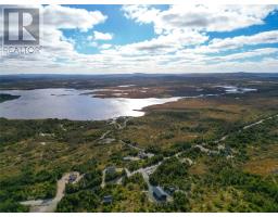 X Horsechops Road, Cape Broyle, NL A0A1P0 Photo 36