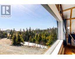 9 Middle Brook Road, Port Rexton, NL B0R1E0 Photo 16