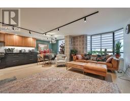 C-ph 10 - 211 Saint Patrick Street, Toronto, ON M5T2Y9 Photo 12
