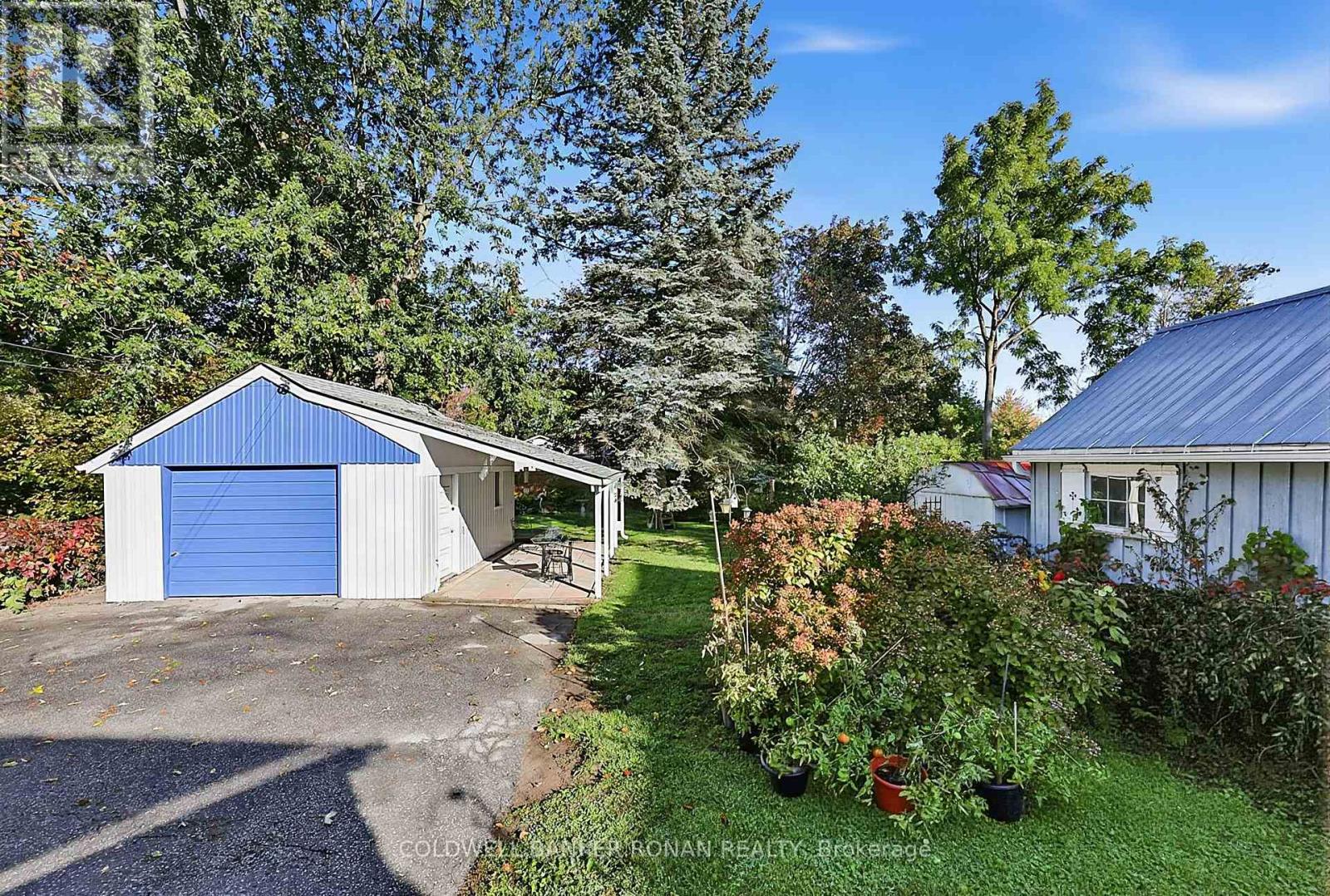 72 Queen Street, New Tecumseth, ON photo 21