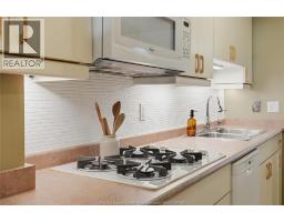 201 Concession 3 Unit# 14, Harrow, ON N0R1G0 Photo 18