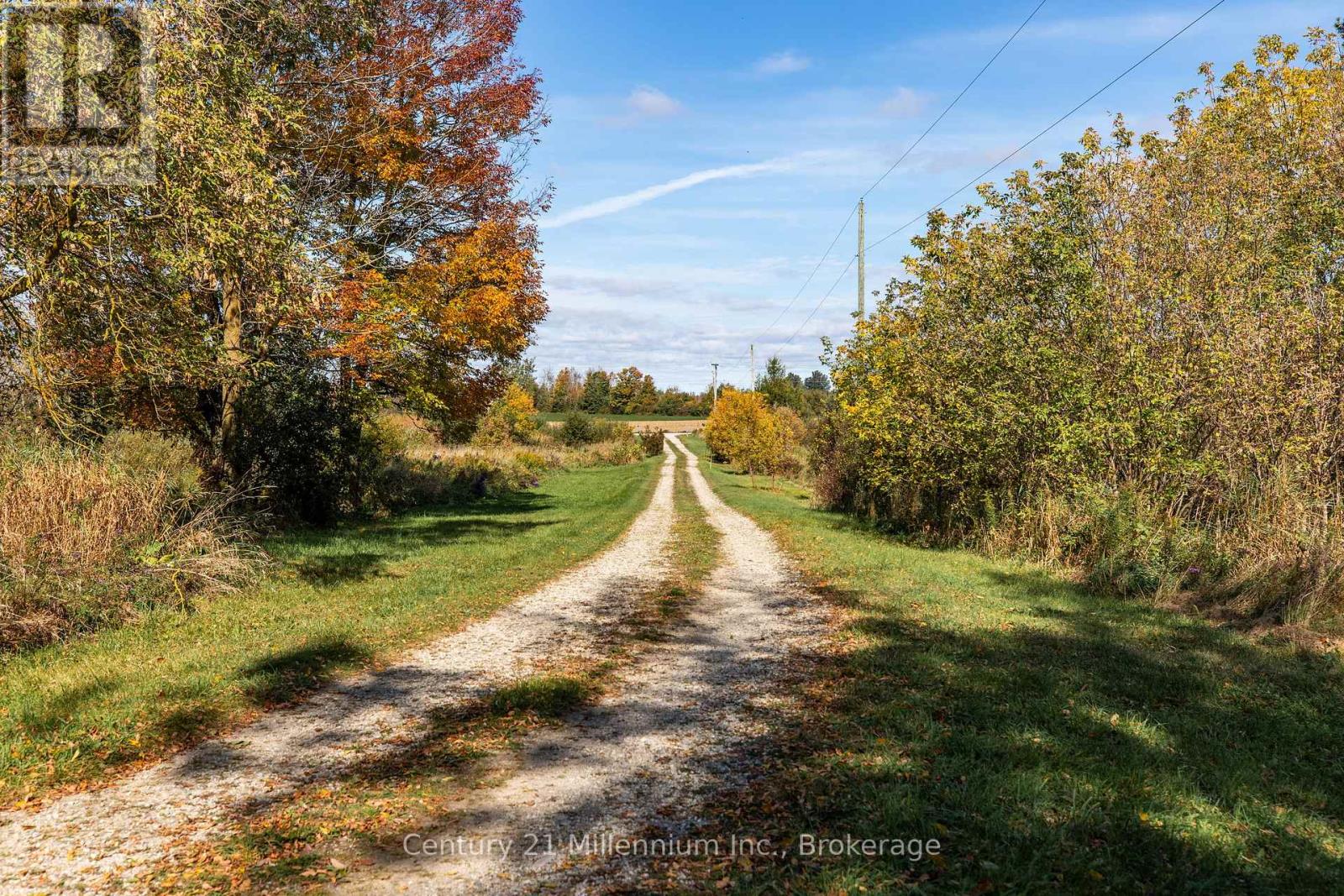 42532 Grey Road 109 — photo 49