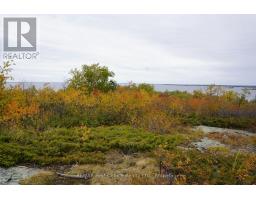 S1048 Massacre Island, Lake Of The Woods, ON P0X1C0 Photo 43