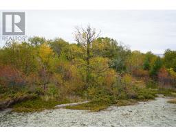S1048 Massacre Island, Lake Of The Woods, ON P0X1C0 Photo 42