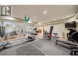 452 Fernleigh Circle S, Richmond Hill, ON L4C1E6 Photo 38