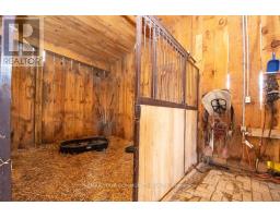 87 Acrevale Road, Kawartha Lakes, ON K0L2W0 Photo 29
