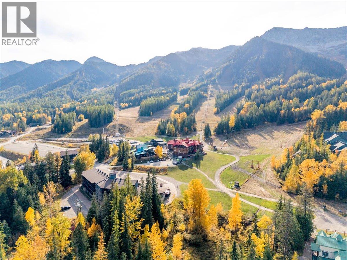 #311 5369 Fernie Ski Hill Road - 8