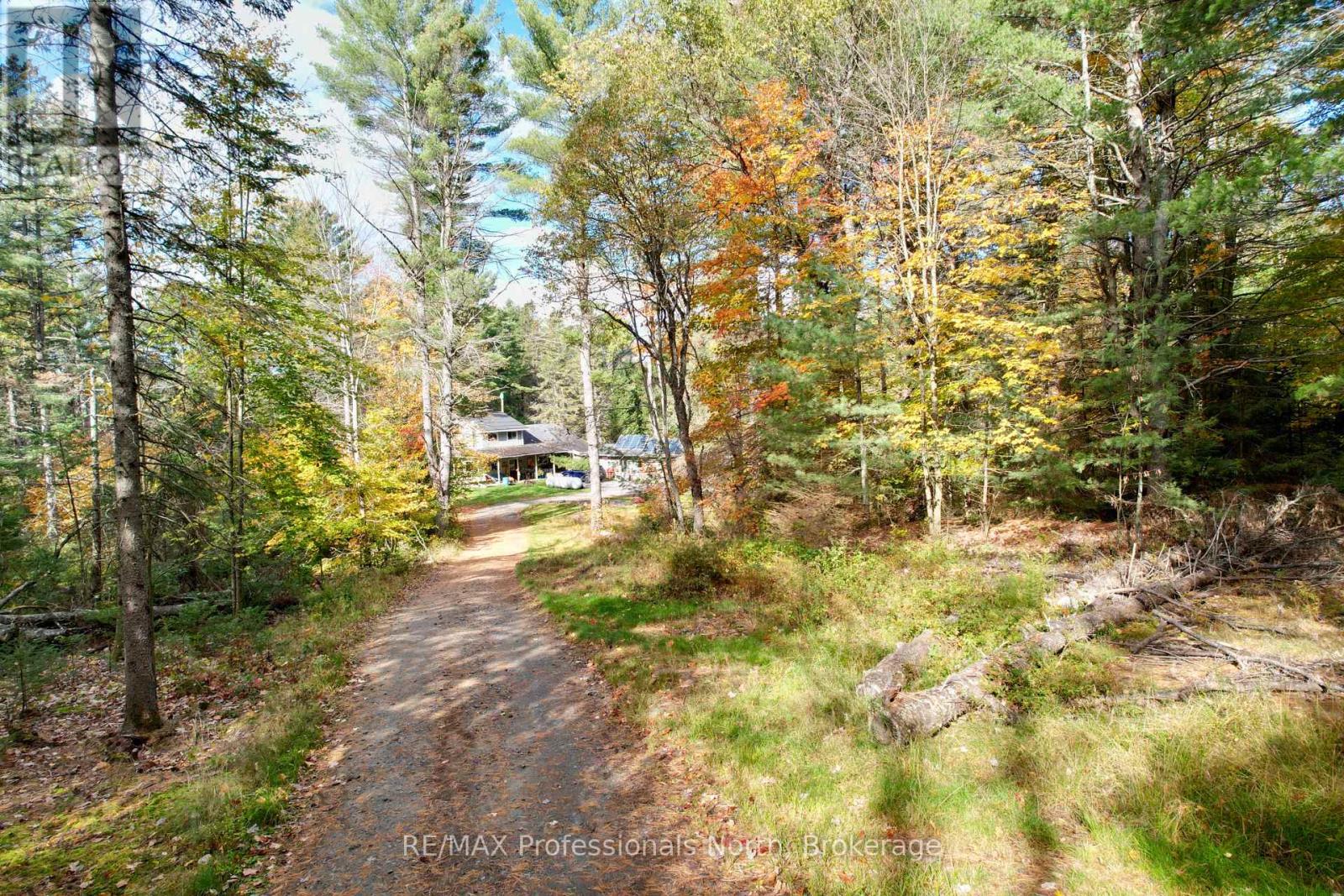 862 LYNX LAKE RD ROAD - 32