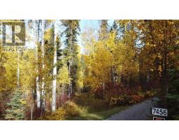 Lot 1 Cottonwood Place, Canim Lake, BC V0K1L0 Photo 9