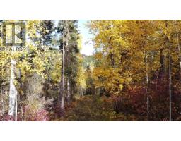 Lot 1 Cottonwood Place, Canim Lake, BC V0K1L0 Photo 10