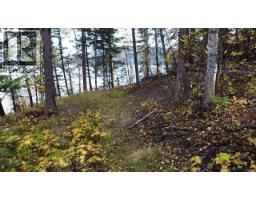 Lot 1 Cottonwood Place, Canim Lake, BC V0K1L0 Photo 11