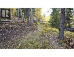 Lot 1 Cottonwood Place, Canim Lake, BC V0K1L0 Photo 12