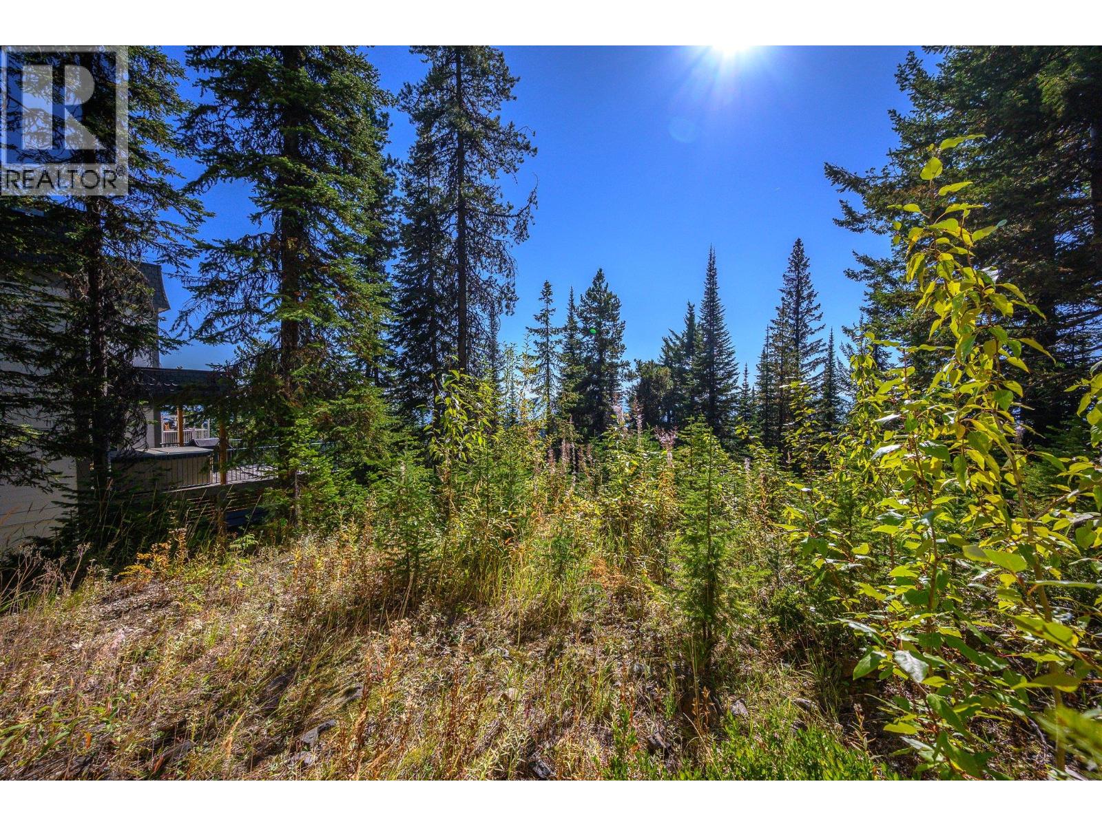 720 Monashee Court - 52
