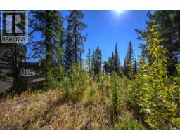 720 Monashee Court, Silver Star, BC V1B0S5 Photo 52
