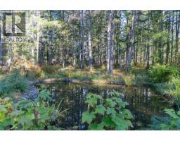 821 Ebadora Lane, Malahat, BC V0R2L0 Photo 36