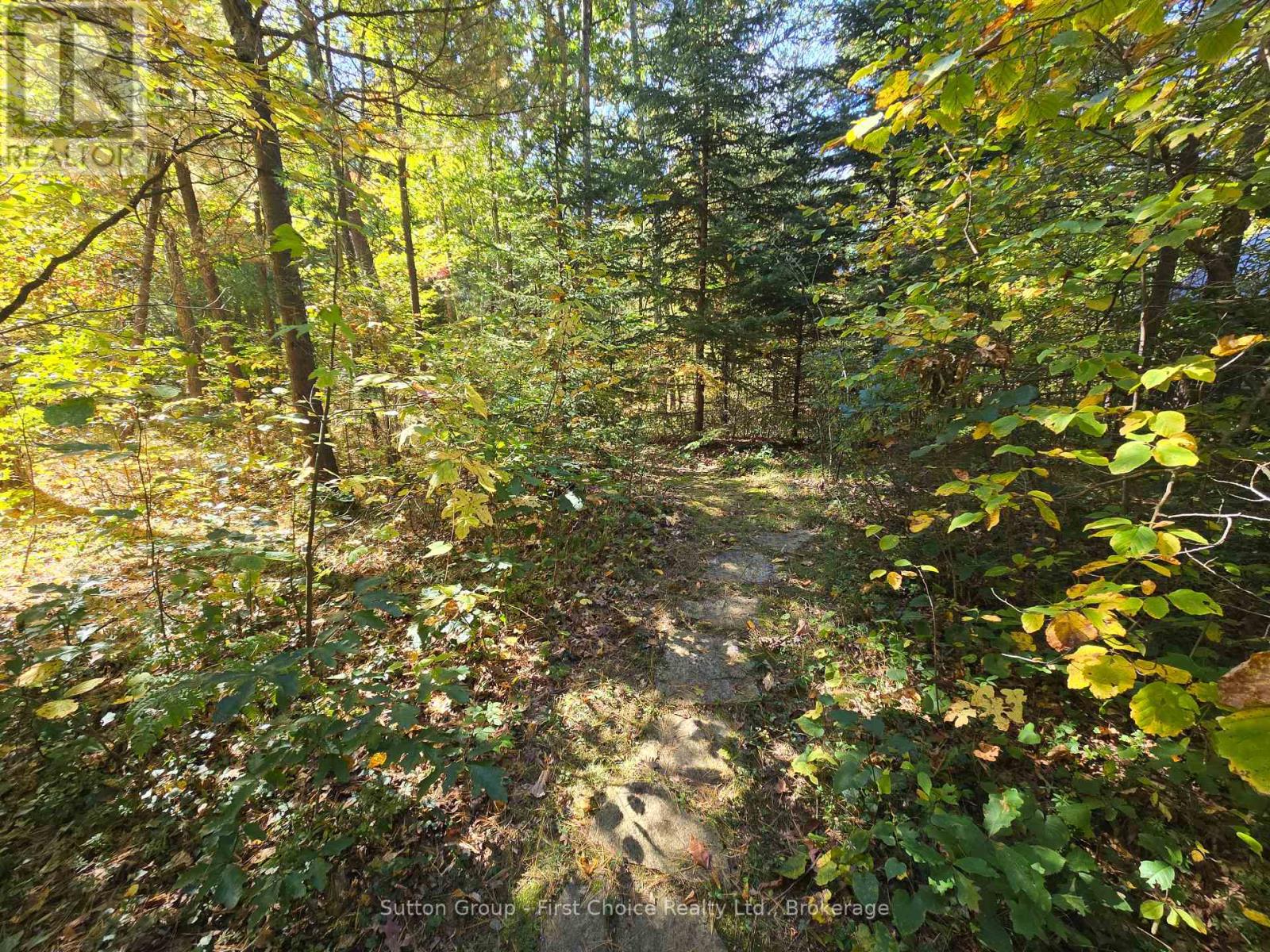 10010 THE TRAIL - 42