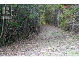 516557 7th Line, Blue Mountains, ON N0H2P0 Photo 49