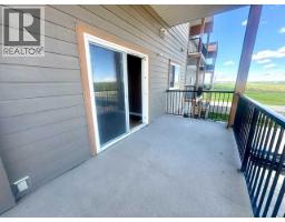 301, 9225 Lakeland Drive, Grande Prairie, AB T8X0B8 Photo 13