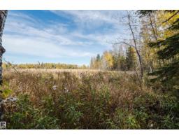 44 Hamilton Ct, Spruce Grove, AB T7X0K4 Photo 64