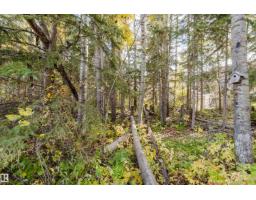 44 Hamilton Ct, Spruce Grove, AB T7X0K4 Photo 65