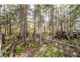 44 Hamilton Ct, Spruce Grove, AB T7X0K4 Photo 66