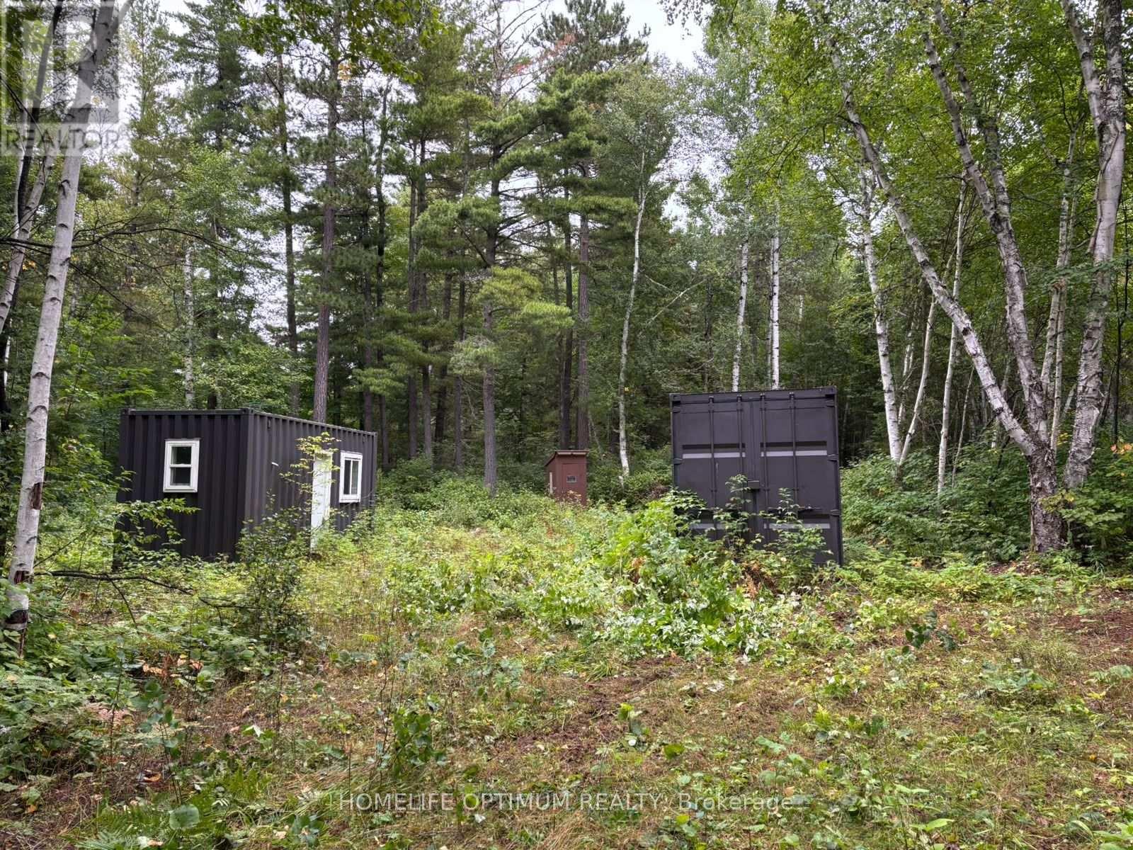 Dale Township, Sudbury Remote Area, ON photo 27