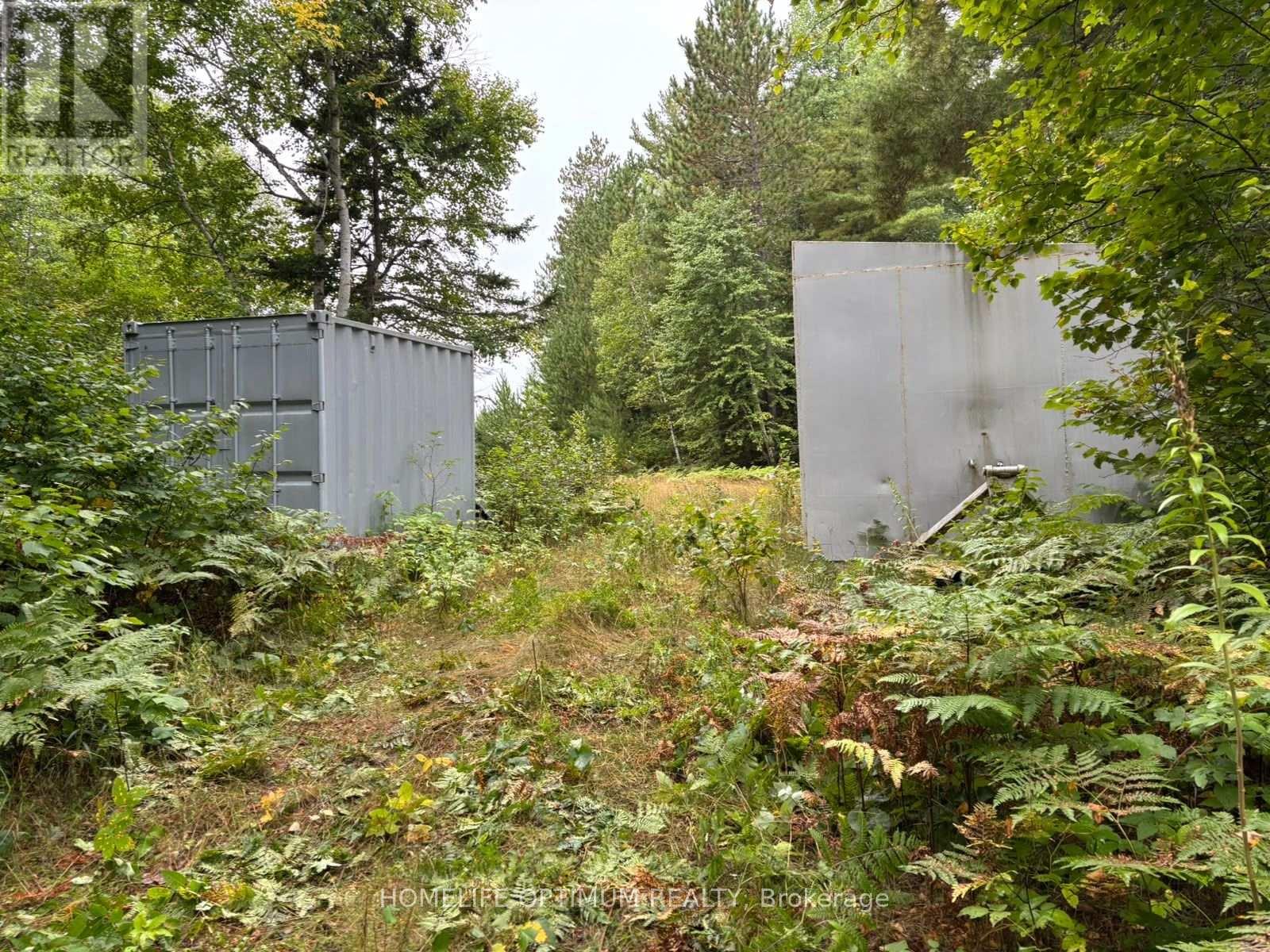 Dale Township, Sudbury Remote Area, ON photo 29
