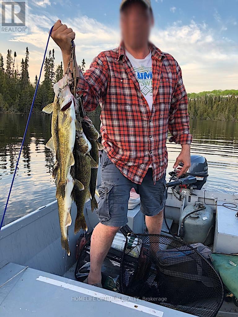 Dale Township, Sudbury Remote Area, ON photo 33