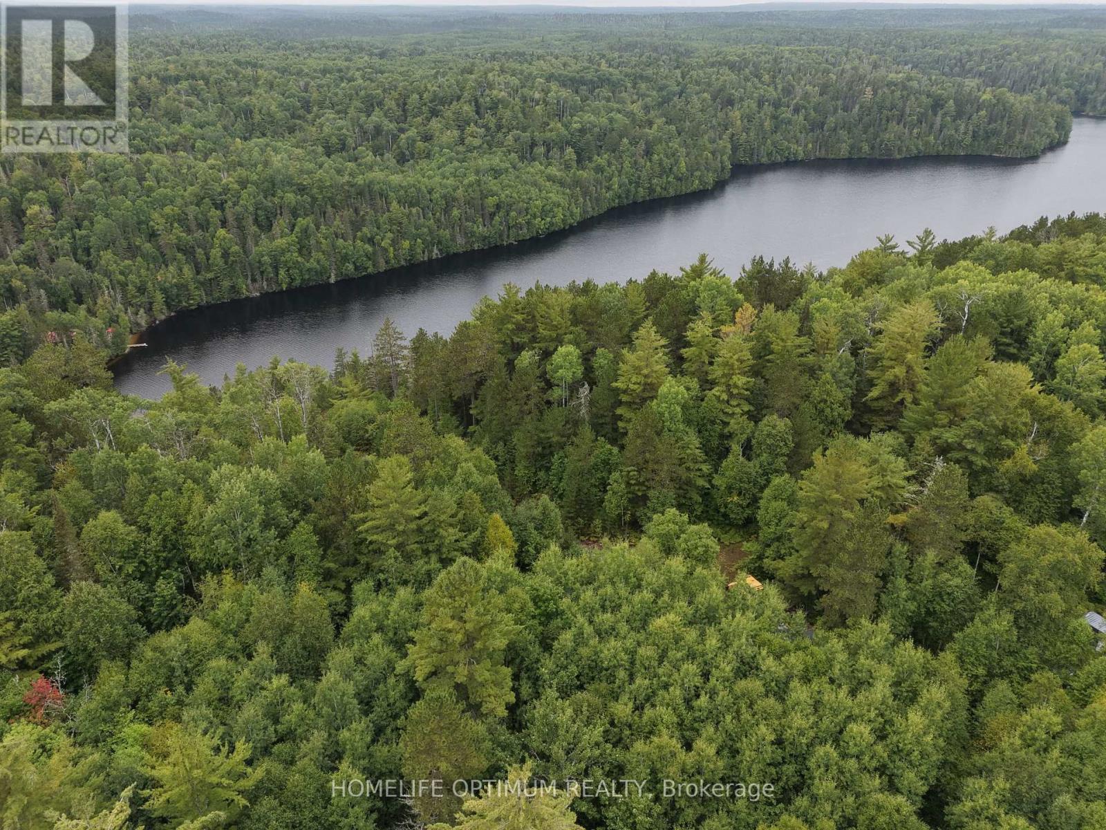 Dale Township, Sudbury Remote Area, ON photo 37
