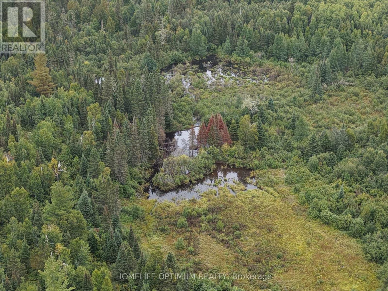 Dale Township, Sudbury Remote Area, ON photo 39