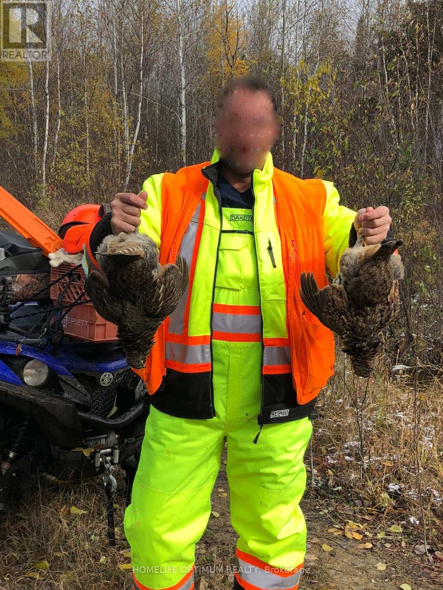 Dale Township, Sudbury Remote Area, ON photo 43