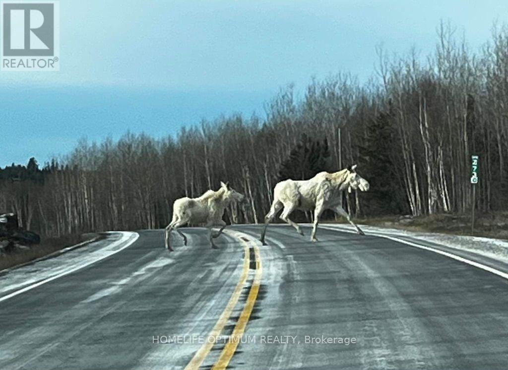 Dale Township, Sudbury Remote Area, ON photo 48