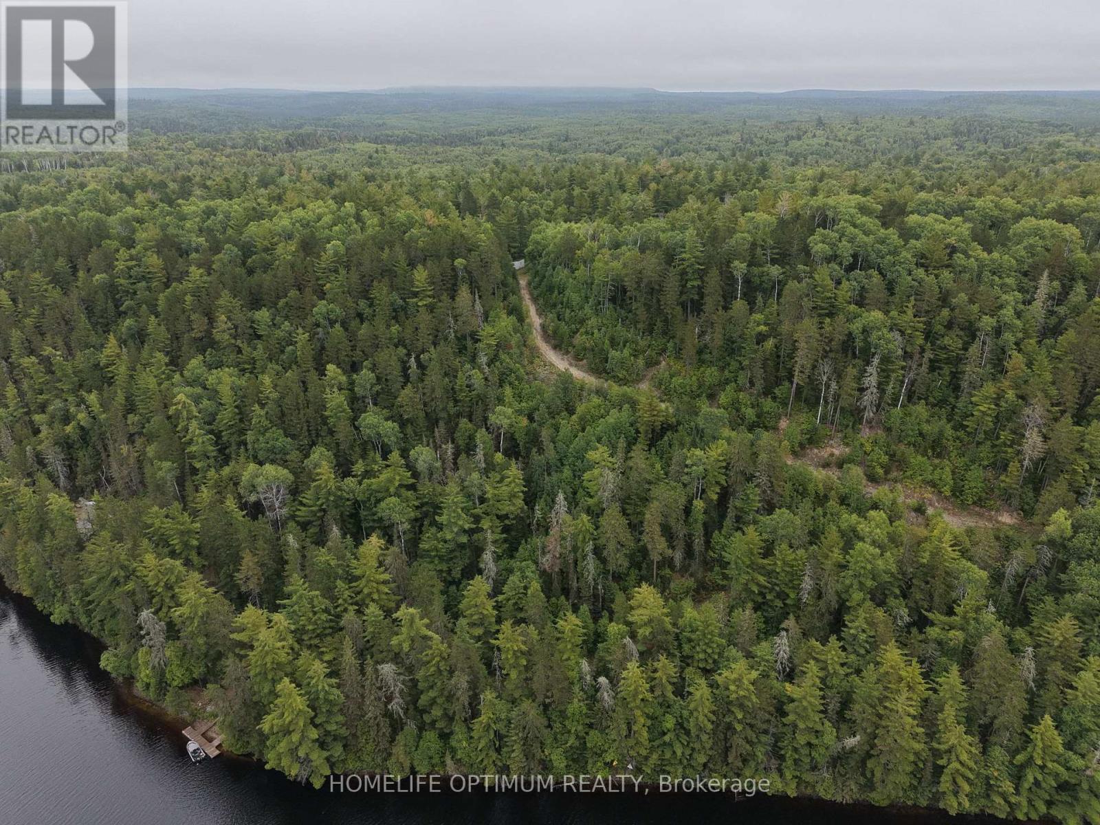 Dale Township, Sudbury Remote Area, ON photo 6