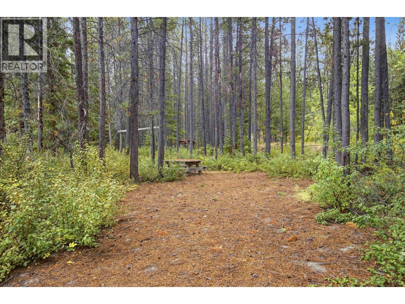  19579 CHILCOTIN 20 Highway, Williams Lake - Image 1