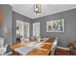 11953 St Albert Tr Nw, Edmonton, AB T5L4G5 Photo 20
