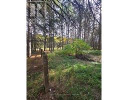 928 595 Highway, O Connor, ON P0T1W0 Photo 6