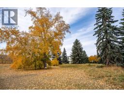 24, 3015 51 Street SW - photo 31