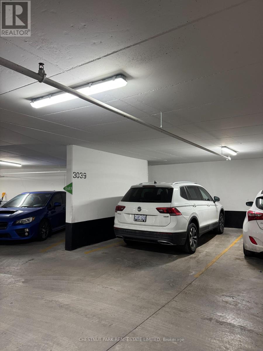 38 Iannuzzi Street — photo 15