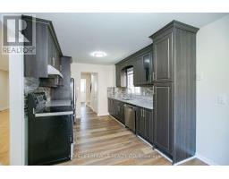 Living room - 33 Adam Street, Brampton, ON L6Z2S2 Photo 10