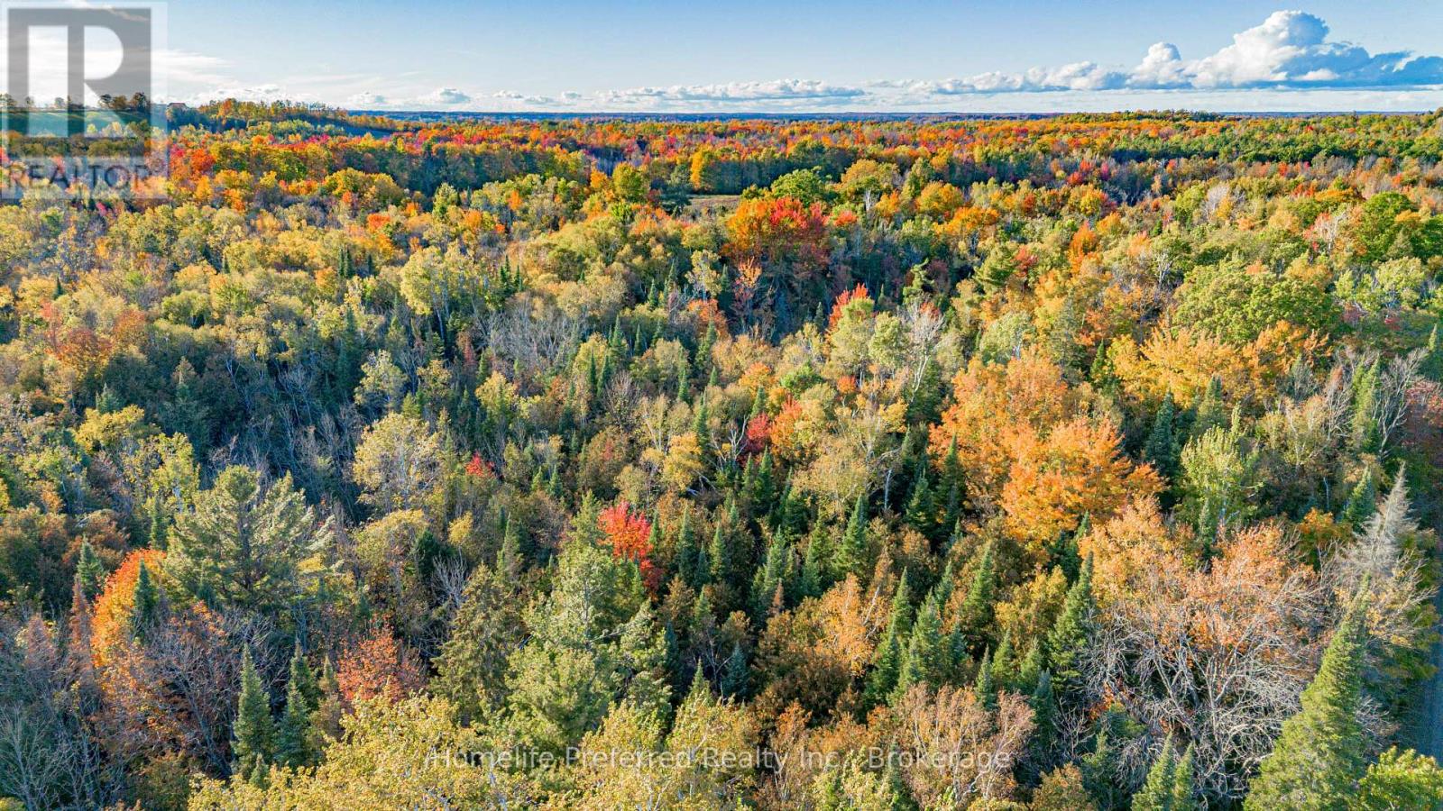 00 COUNTY ROAD 42 Road, Asphodel-Norwood, ON photo 17