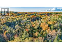 00 County Road 42 Road, Asphodel Norwood, ON K0L1Z0 Photo 17