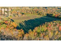00 County Road 42 Road, Asphodel Norwood, ON K0L1Z0 Photo 20