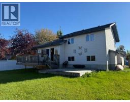 10802 105 Street, High Level, AB T0H1Z0 Photo 33