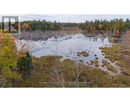 0 Old Brooke Road, Tay Valley, ON K0H2B0 Photo 12