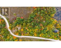 0 Old Brooke Road, Tay Valley, ON K0H2B0 Photo 23