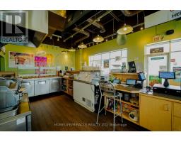 391 Queen Street, Halton Hills, ON L7J0A8 Photo 10